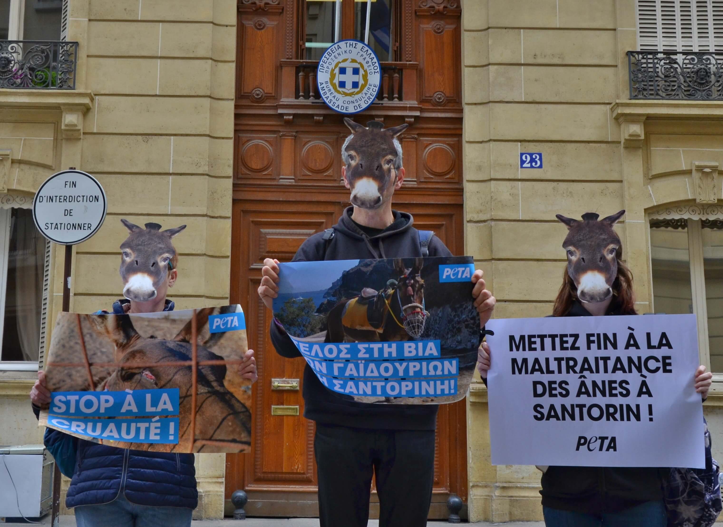 Des « ânes » protestent contre l’exploitation animale sur l’île de Santorin