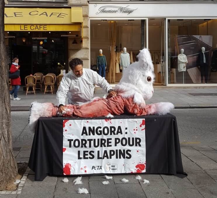 Un « lapin » mutilé lors d’une mise en scène sonore pour dénoncer la violence de l’angora