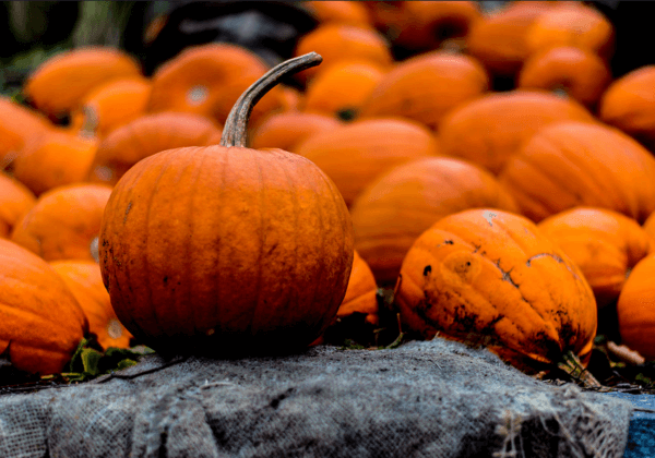 Cinq recettes véganes et horriblement savoureuses pour Halloween