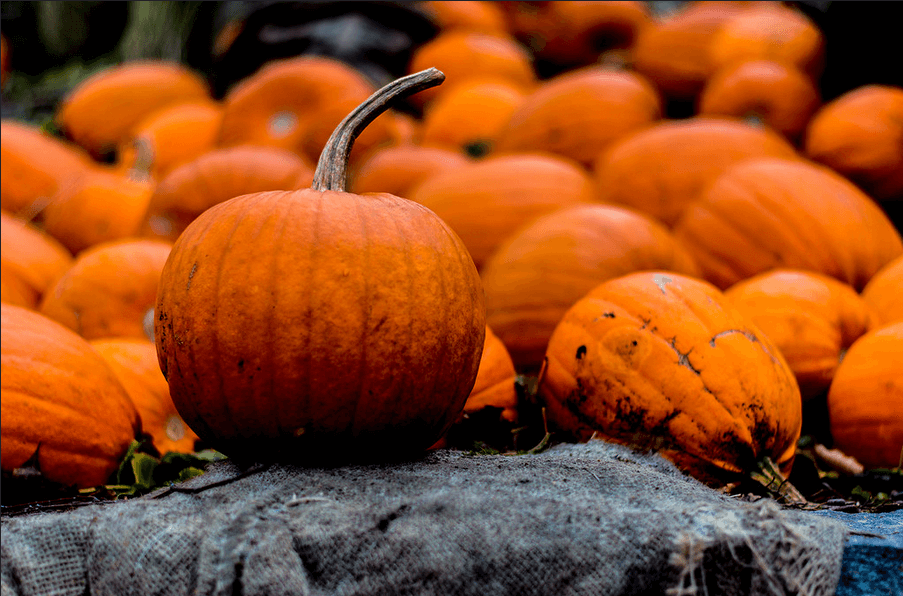 Cinq recettes véganes et horriblement savoureuses pour Halloween