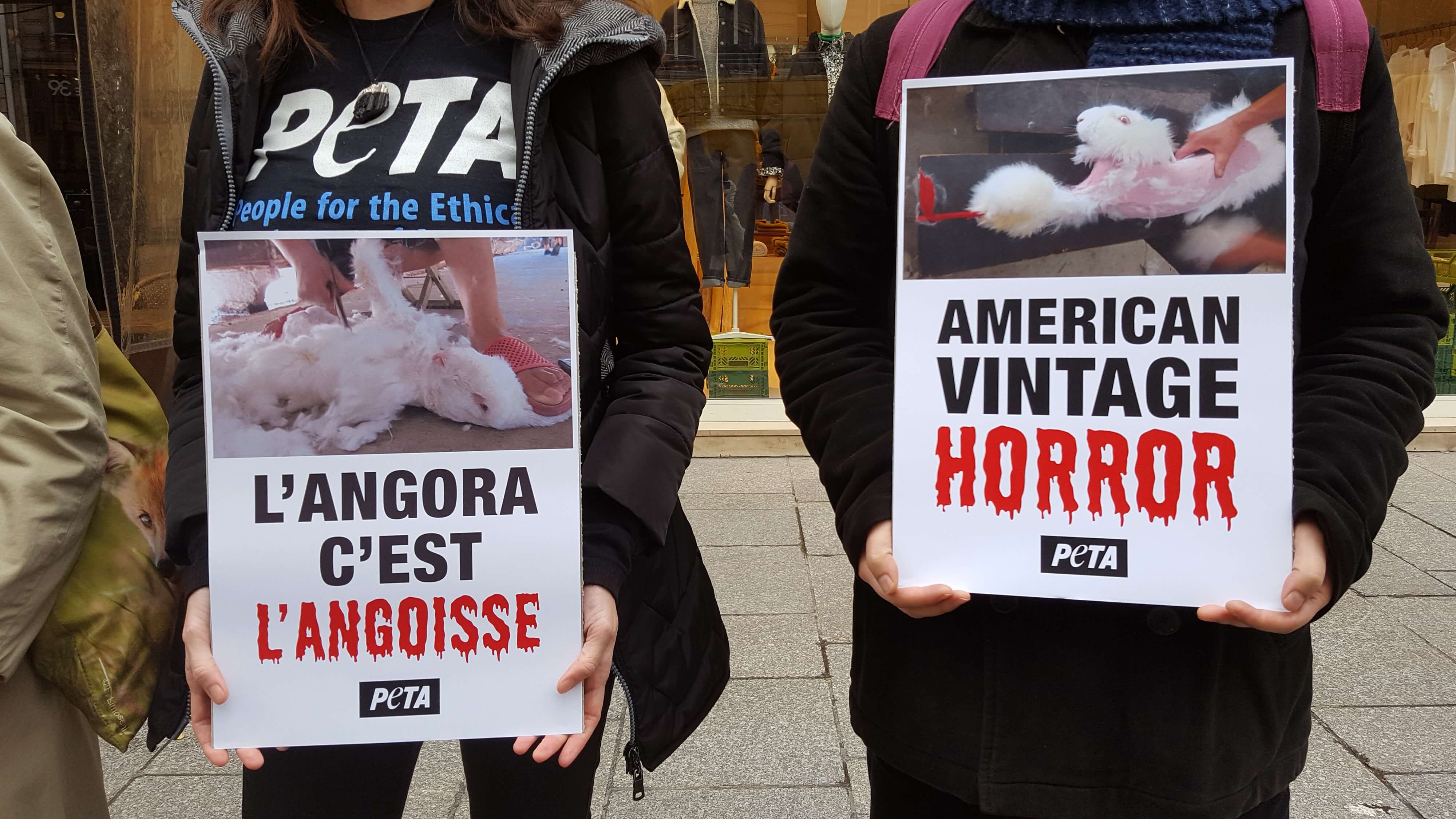 Pour Halloween, des militants de PETA rappellent toute l’horreur de l’angora