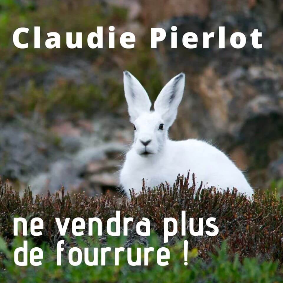 Excellente nouvelle Sandro Maje et Claudie Pierlot arr tent la