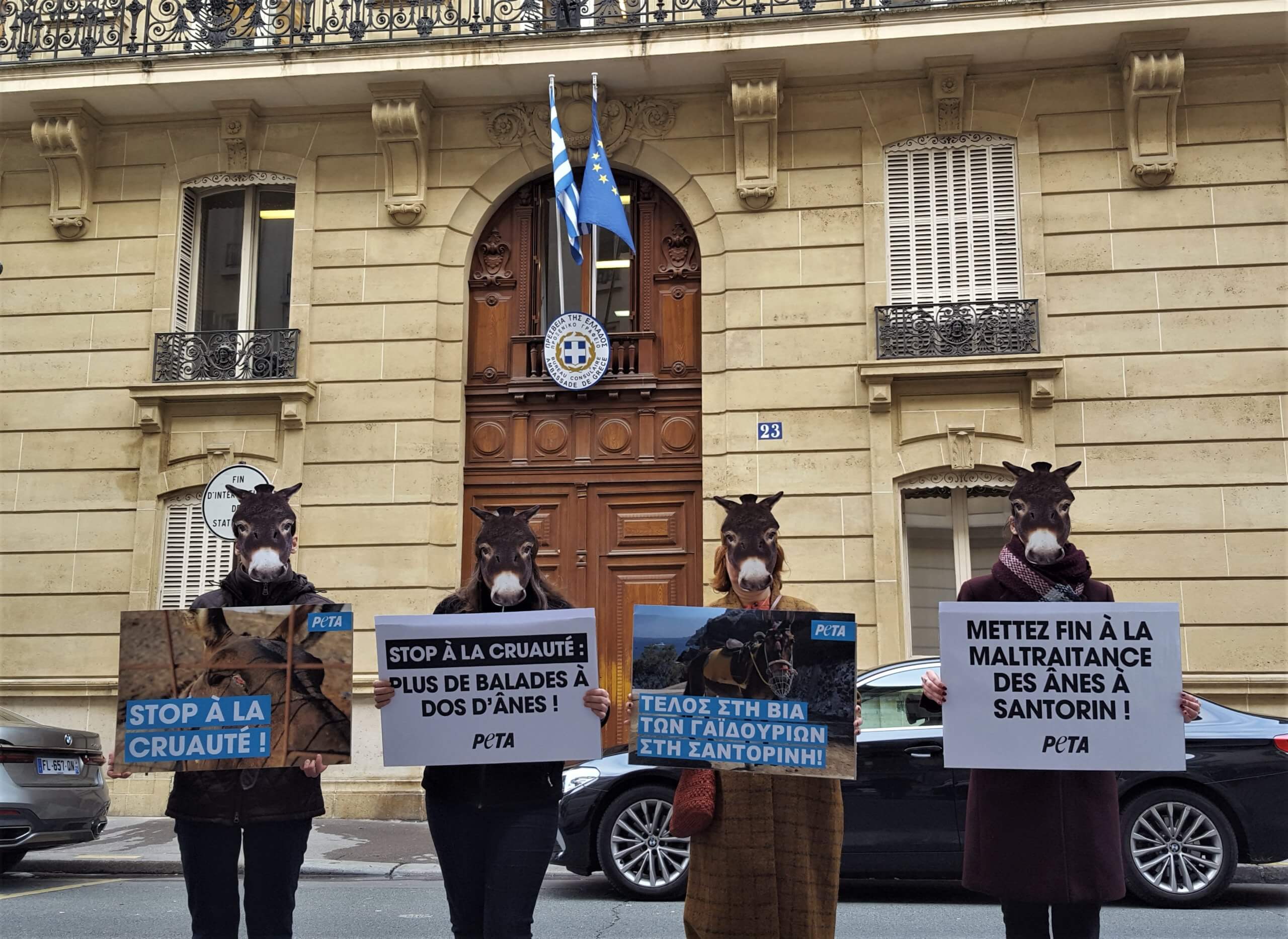 Des « ânes » protestent devant les ambassades grecques en France et dans le monde entier