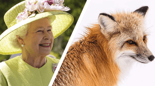 Grande nouvelle : la reine Elisabeth II tourne le dos à la fourrure !