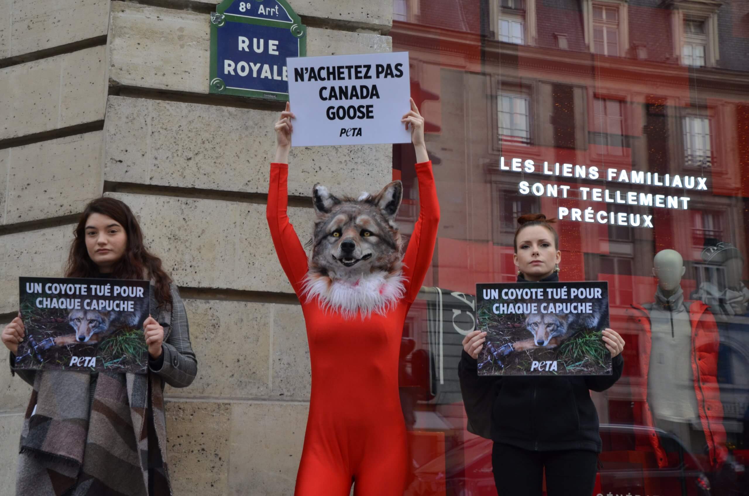 Un « coyote » piégé et ensanglanté proteste contre l’ouverture du premier magasin Canada Goose parisien