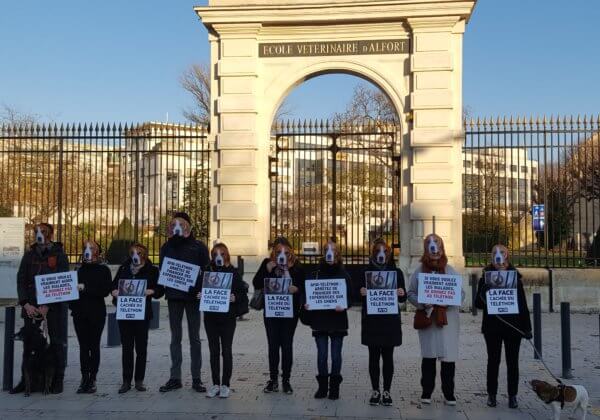 Des « chiens » appellent l&rsquo;AFM-Téléthon à mettre fin aux cruels tests pratiqués à l’Ecole nationale vétérinaire d’Alfort