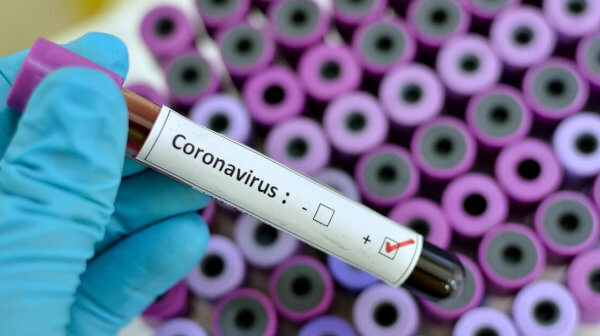 L&rsquo;épidémie de coronavirus est liée à la consommation de chair animale