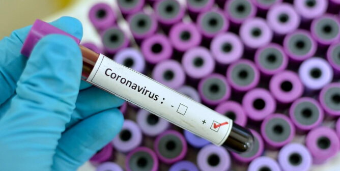 L&rsquo;épidémie de coronavirus est liée à la consommation de chair animale