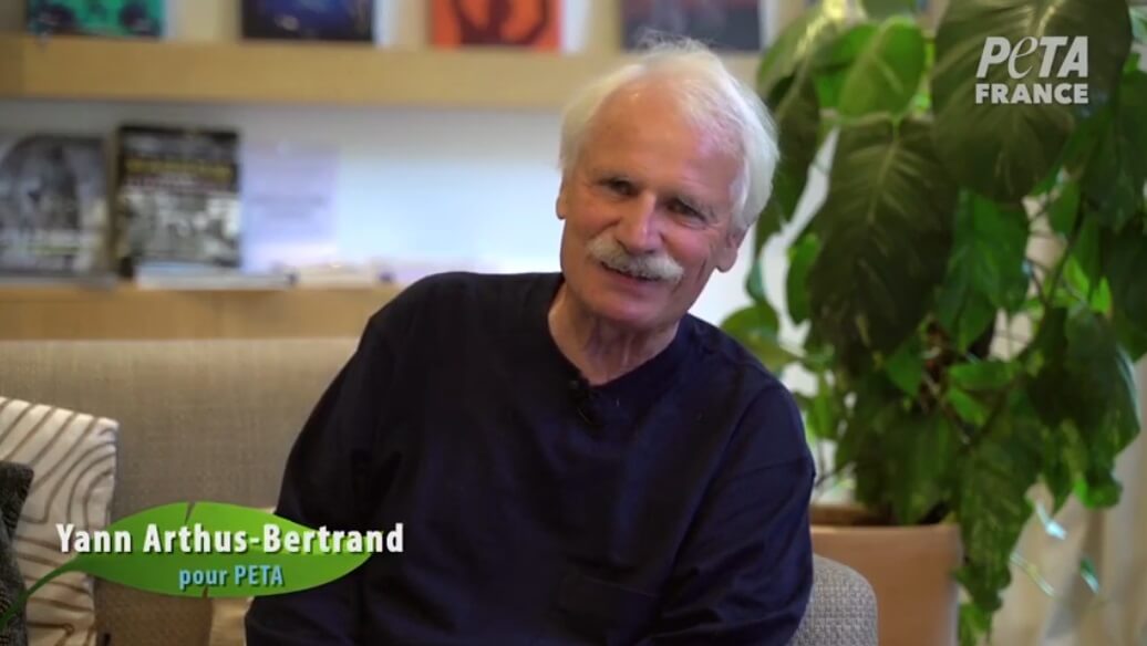 Pour « une radicalisation du bien » : l’appel vidéo de Yann Arthus-Bertrand à se passer de viande