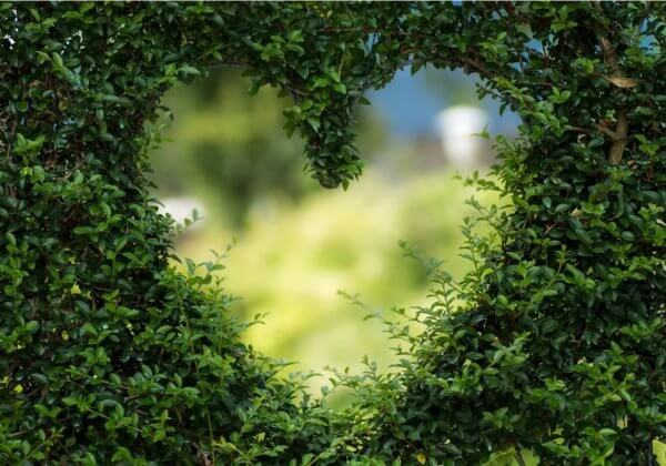 Pour une Saint-Valentin pleine de com-passion