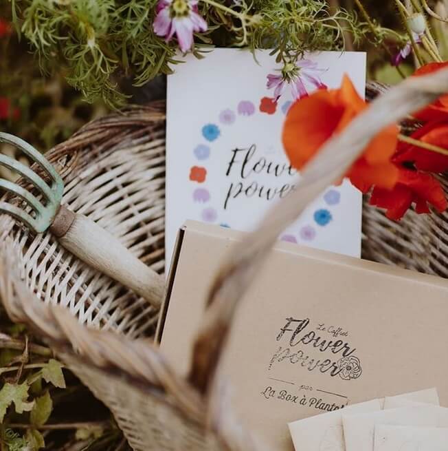 vegan box à planter