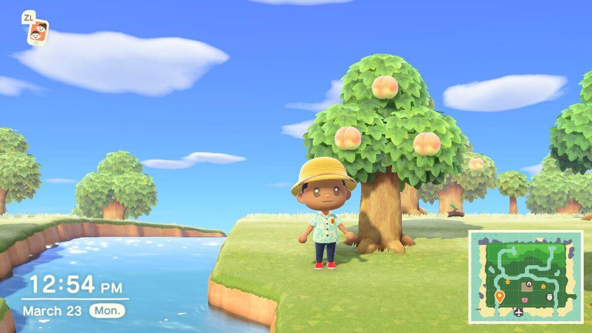 Guide végan de PETA pour « Animal Crossing New Horizons » Actualités