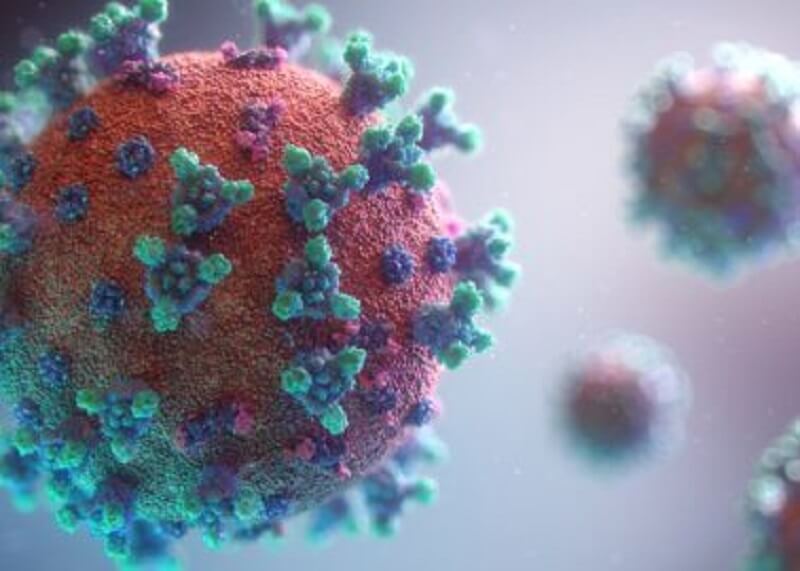 Vaccin contre le coronavirus : il nous faut des tests sur l’humain et non sur les animaux