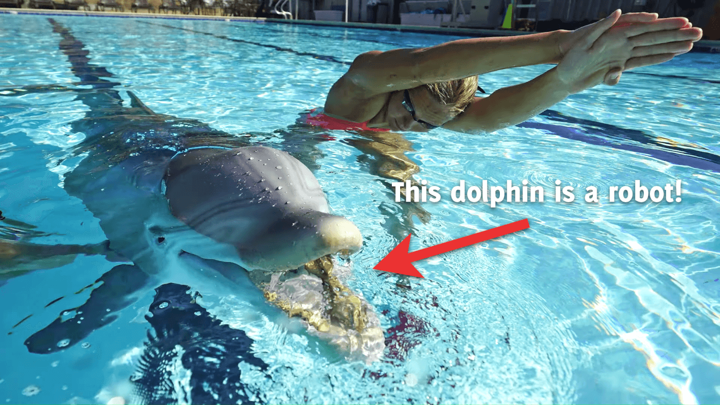 Un dauphin robot pour remplacer les cétacés captifs ? Prenez-en note, Marineland