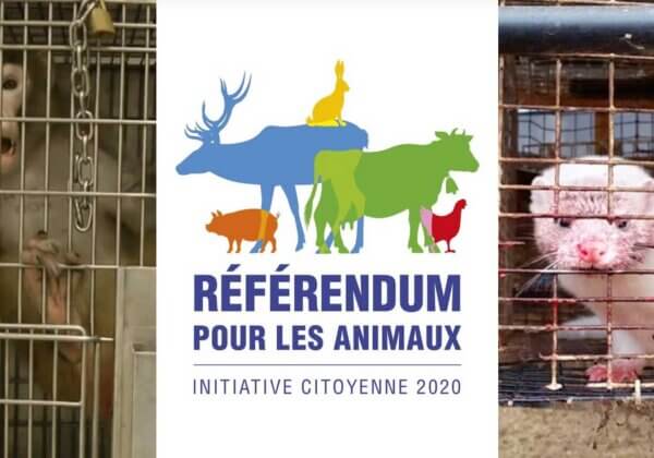 Historique : participez au premier référendum de France pour les animaux