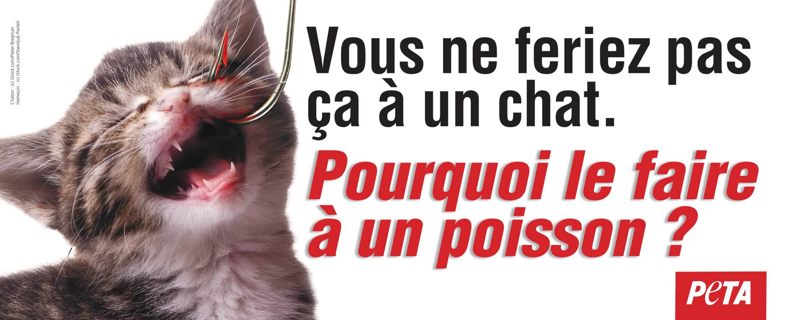 PETA demande une affiche en bord de rivière après la mort de milliers de poissons