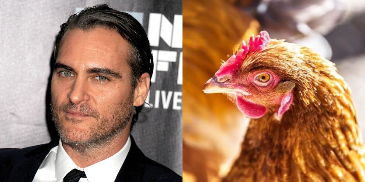 VIDÉO : Joaquin Phoenix veut que vous changiez le monde depuis votre cuisine