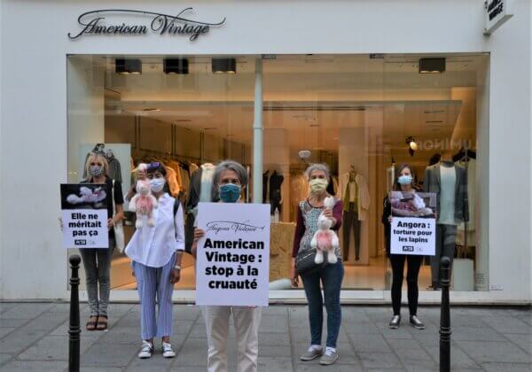 Journée d&rsquo;action ! Des militants du monde entier appellent American Vintage à cesser l’angora