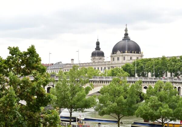 Le guide du végan à Lyon