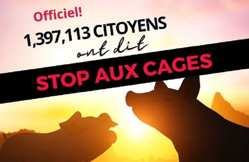 Campagne #EndTheCageAge : 1 397 113 signatures remises à la Commission européenne