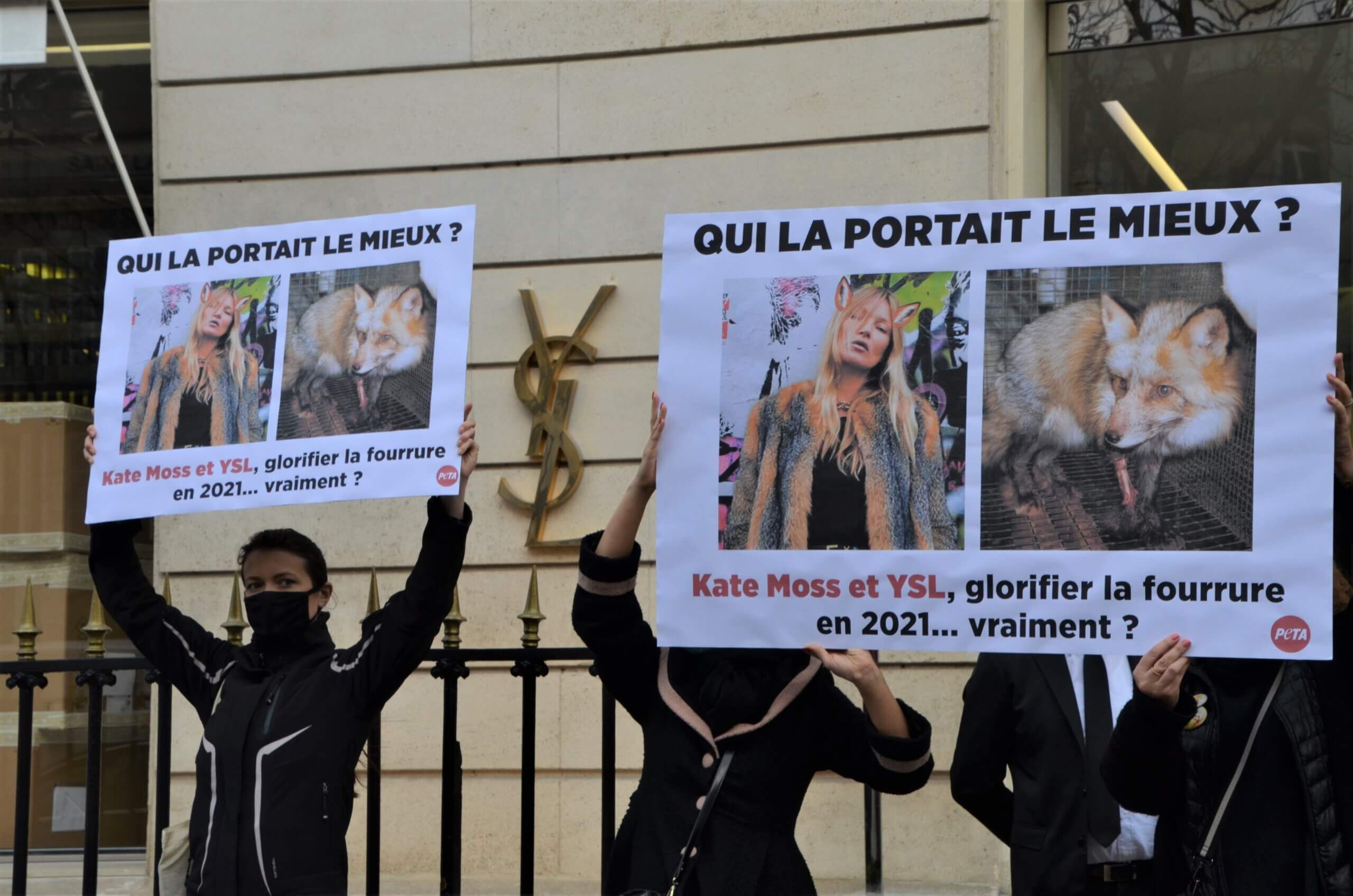 PETA à Yves Saint Laurent : « La fourrure n’a rien de glamour »