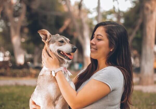 Comment protéger votre chien contre les enlèvements