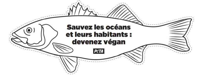 A vos poissons d'avril !