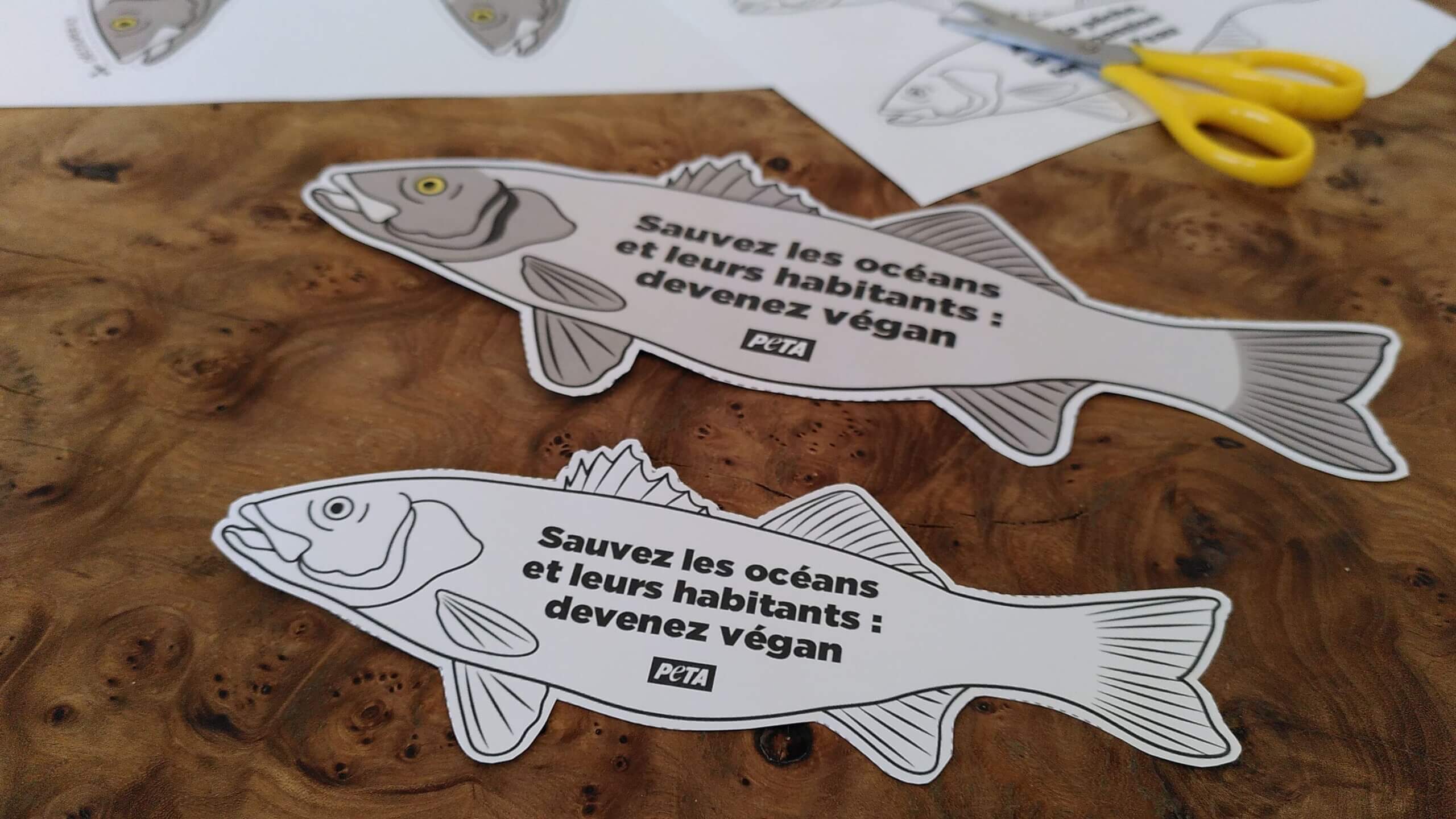 Avec ces poissons d’avril rappelez que la cruauté de la pêche n’est pas une blague