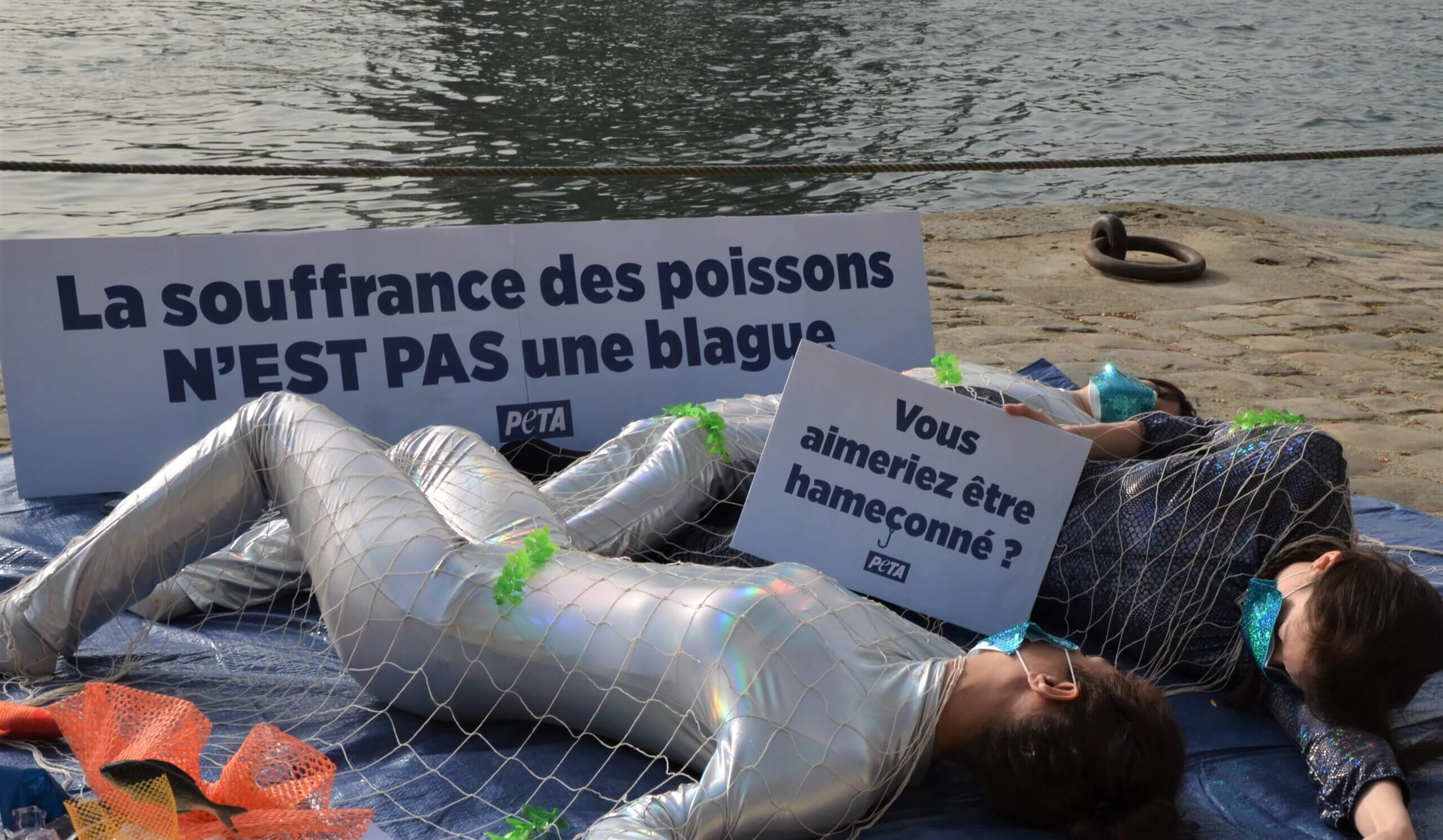 « La souffrance des poissons n’est pas une blague » rappelle PETA