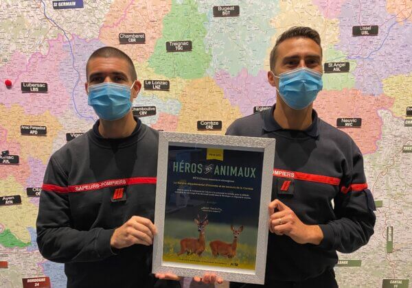 Les pompiers du SDIS19 reçoivent le « Prix des Héros pour les animaux » de PETA