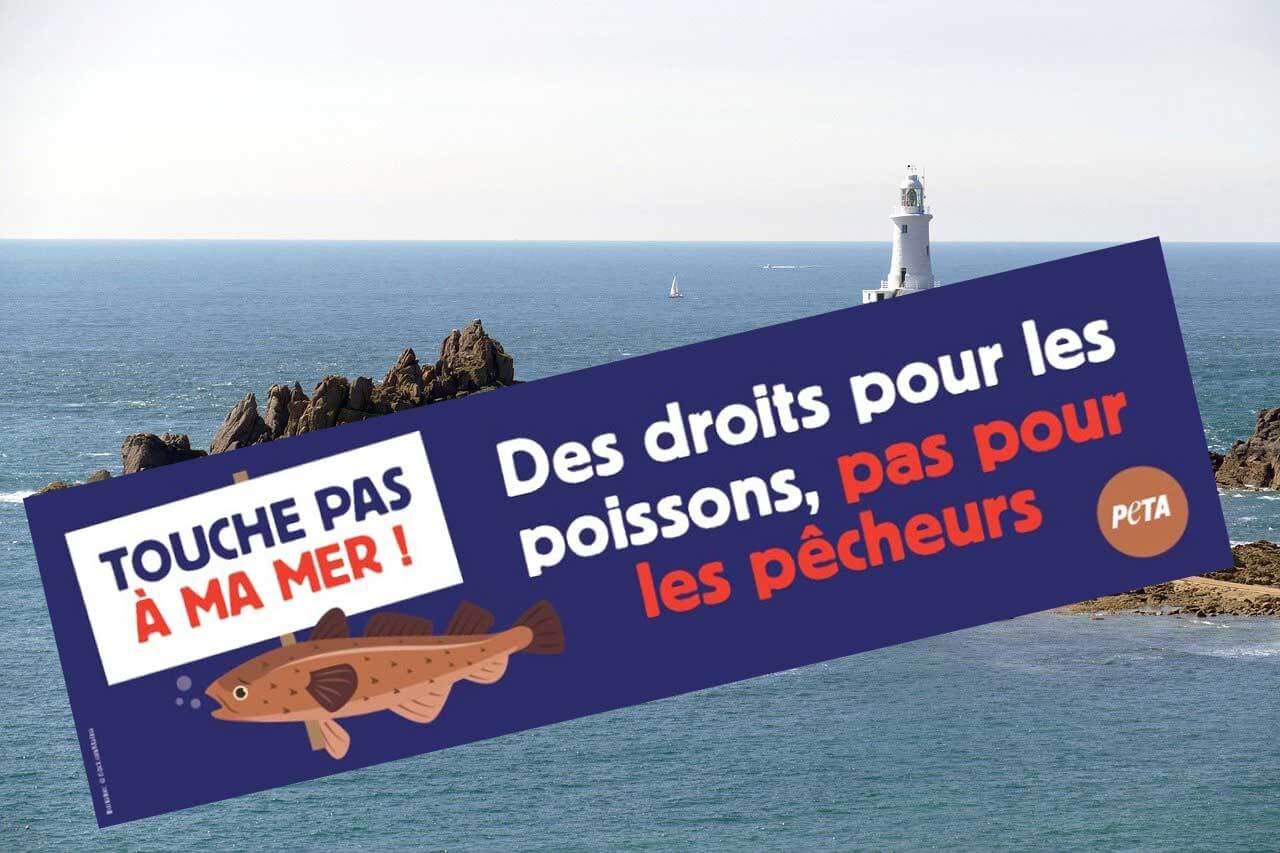Jersey : une campagne de PETA demande des droits pour les poissons, pas pour les pêcheurs