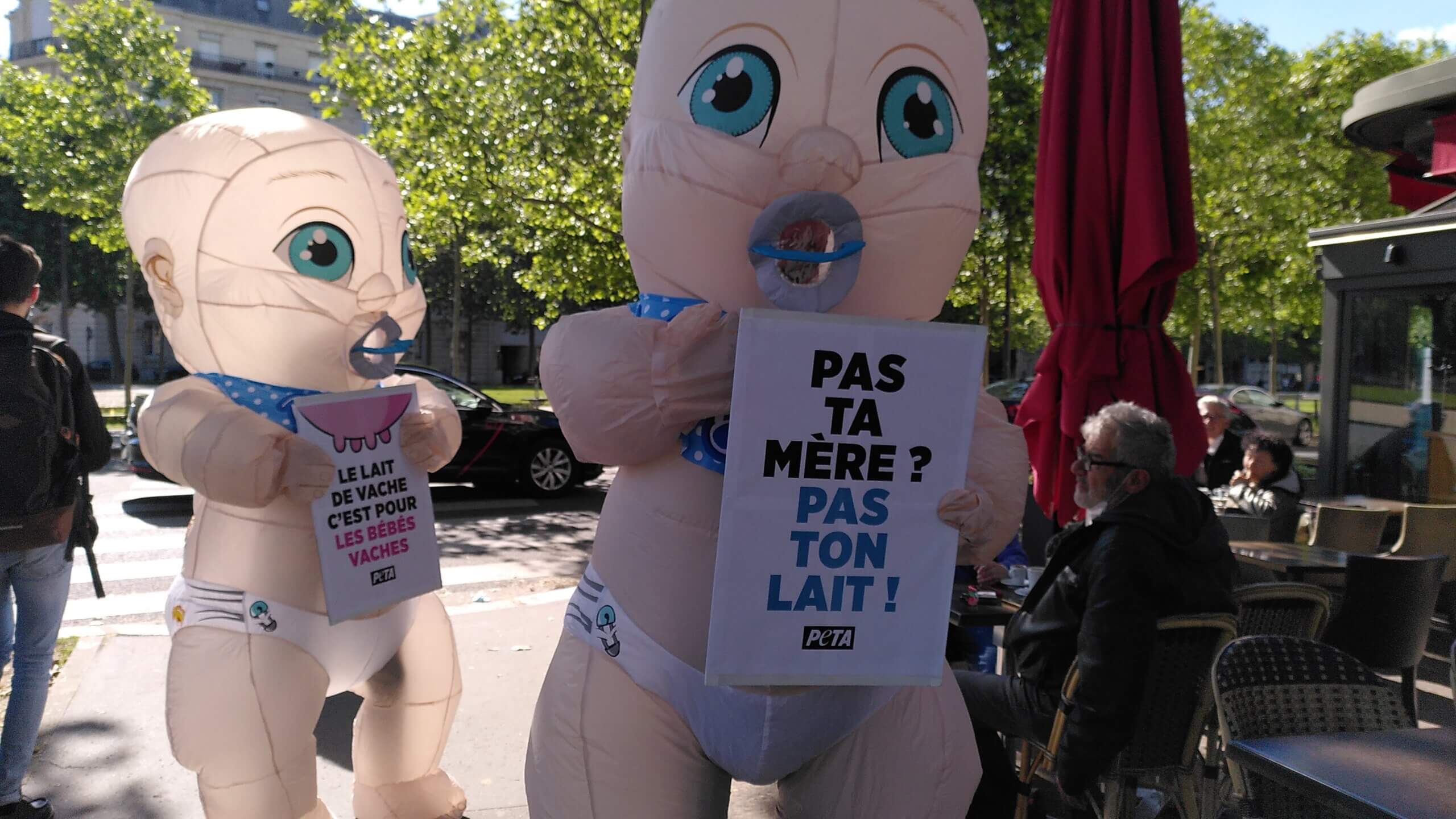 Pour la fête des Mères des « bébés » géants appellent les humains à arrêter le lait
