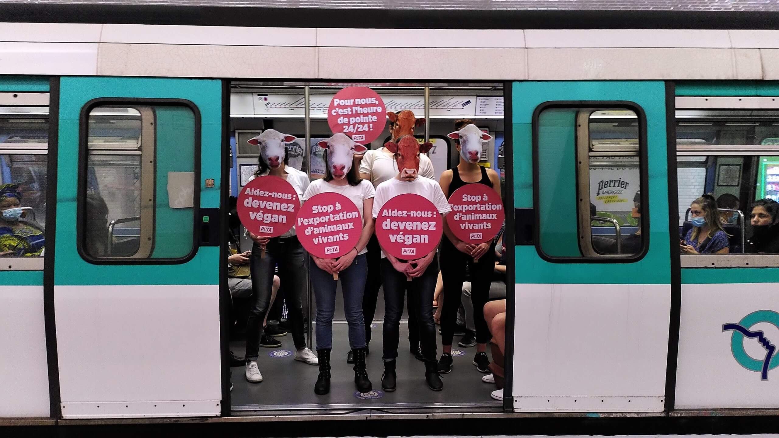 Des « vaches » et des « moutons » dans le métro pour protester contre l’exportation d’animaux vivants