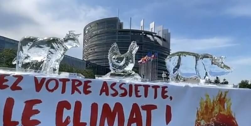 Des « animaux » fondent devant le Parlement européen pour appeler les politiques à passer au végétal