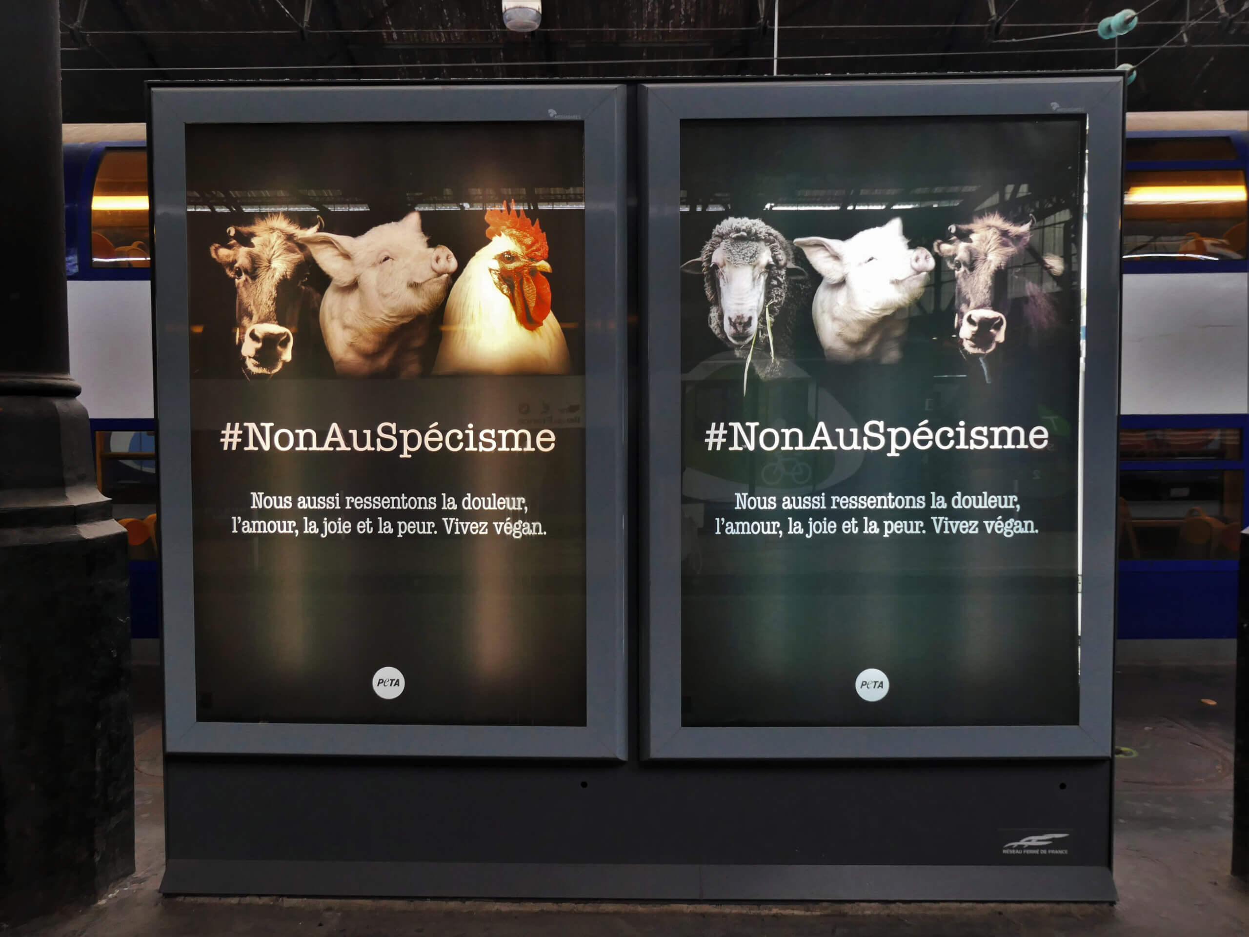 Journée mondiale pour la fin du spécisme : des animaux envahissent Paris et implorent « vivez végan »