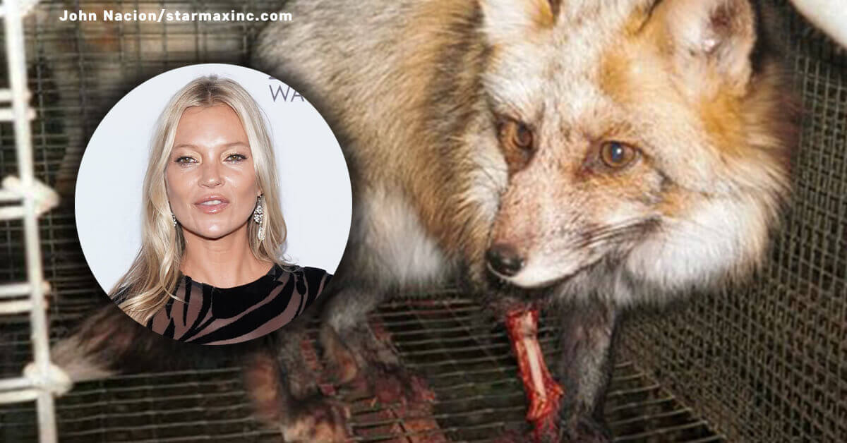 Kate Moss va-t-elle renoncer à la fourrure ?
