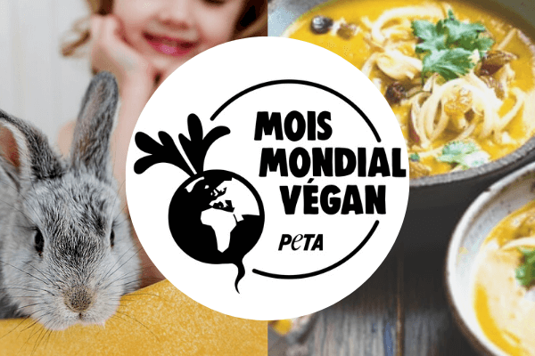 Novembre est le Mois mondial végan : et si vous essayiez ?