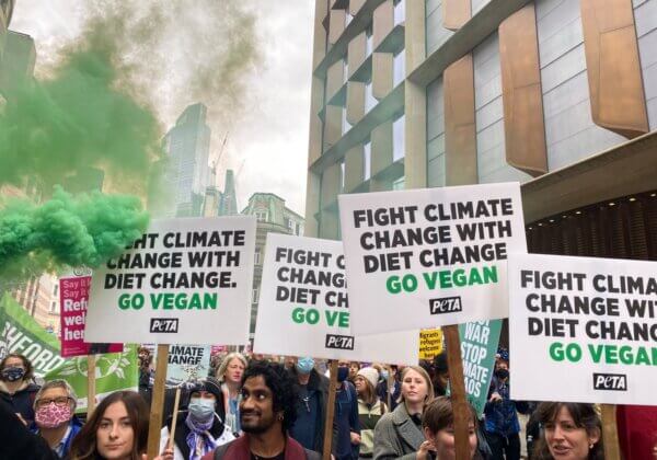 Les végans pour la justice climatique : PETA se joint à la marche pour la COP26 à Glasgow