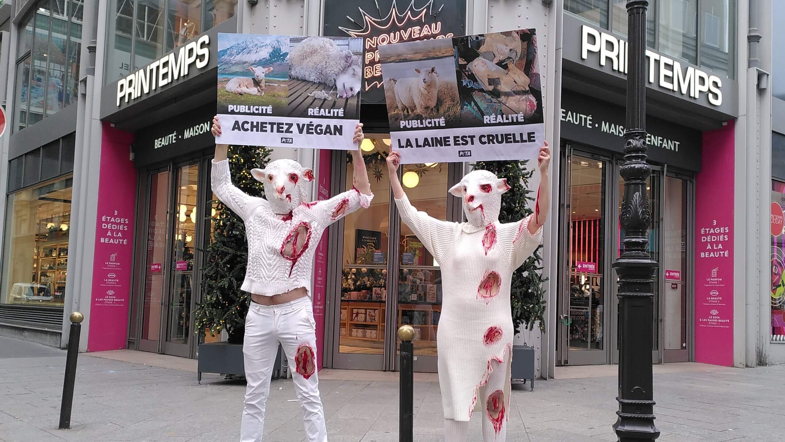 Des militants de PETA dévoilent la réalité sanglante cachée sous la laine
