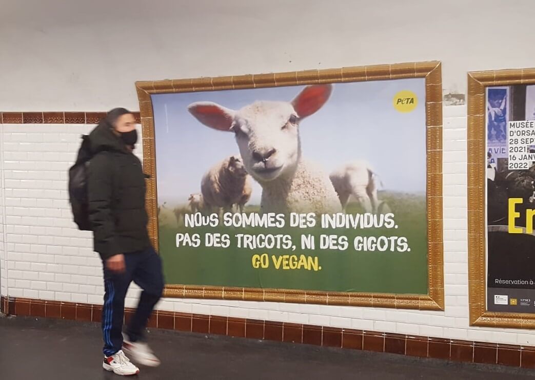 Des moutons s’affichent dans le métro et demandent aux voyageurs : « Go Vegan »