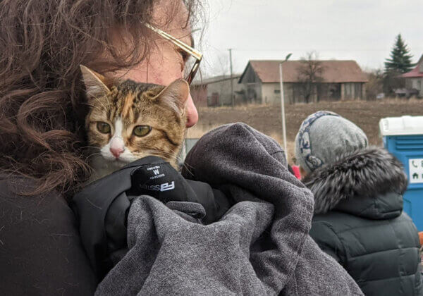 Ukraine : L’équipe de PETA Allemagne a atteint la frontière polonaise