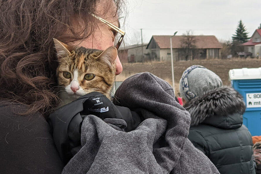 Ukraine : L’équipe de PETA Allemagne a atteint la frontière polonaise
