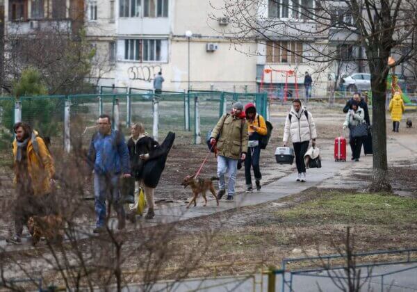 Mise à jour sur la situation des animaux en Ukraine