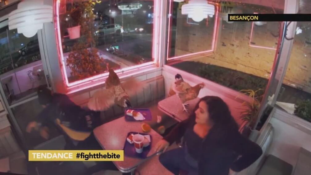 Les poulets passent à l’offensive dans la publicité du Super Bowl de PETA États-Unis