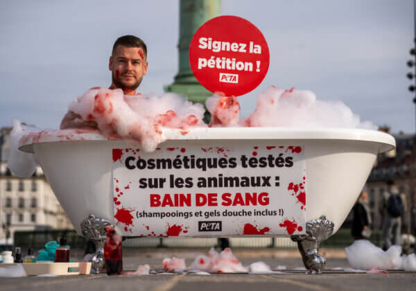 Vidéo : Jeremstar dans une baignoire « ensanglantée » alerte sur le retour des tests sur les animaux dans l’UE