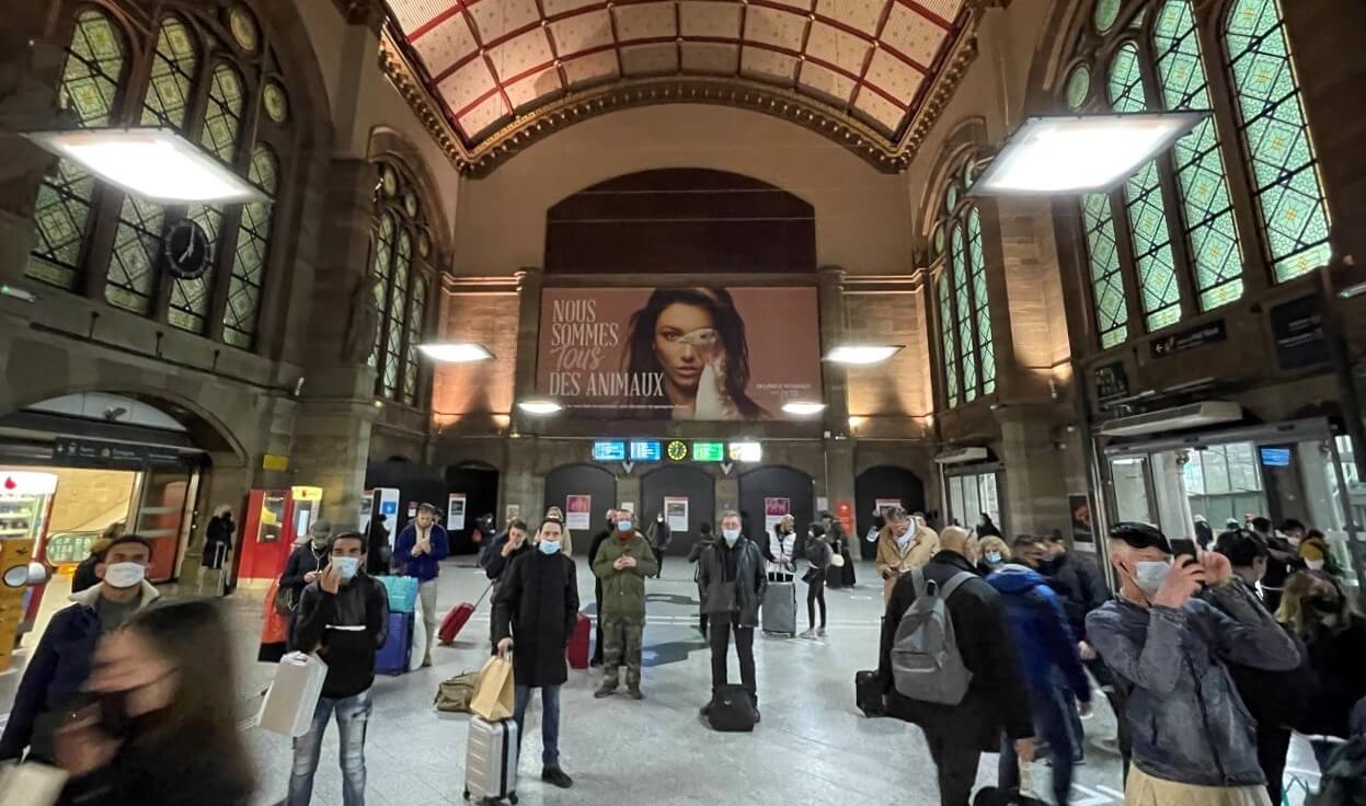 Delphine Wespiser défend les animaux dans une affiche géante à Strasbourg