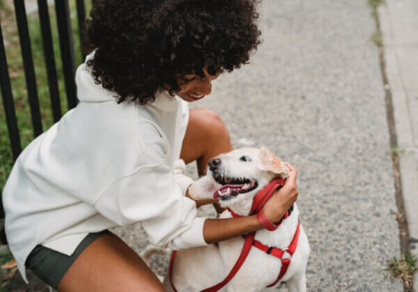 Comment choisir un éducateur canin