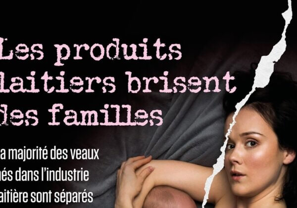 Fête des mères : une campagne de sensibilisation refusée par les annonceurs