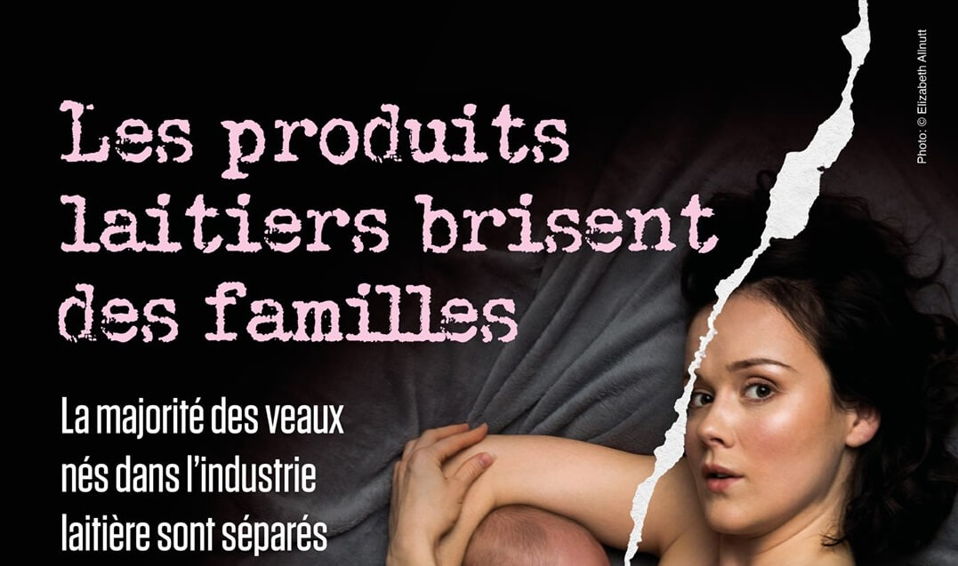 Fête des mères : une campagne de sensibilisation refusée par les annonceurs