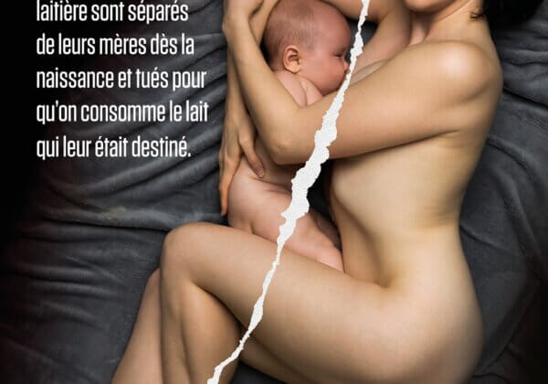 Fête des mères : une campagne de sensibilisation refusée par les annonceurs